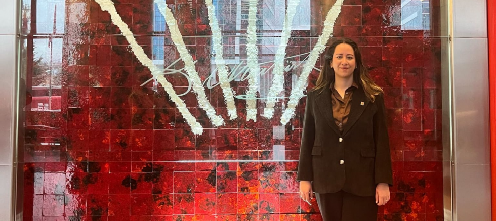 CHP Ankara İl Kadın Kolları Başkanı Ayça Çağlar: “Kadınların Güvencesi Yeniden Sağlanacak” - GÜNDEM - İnternetin Ajansı